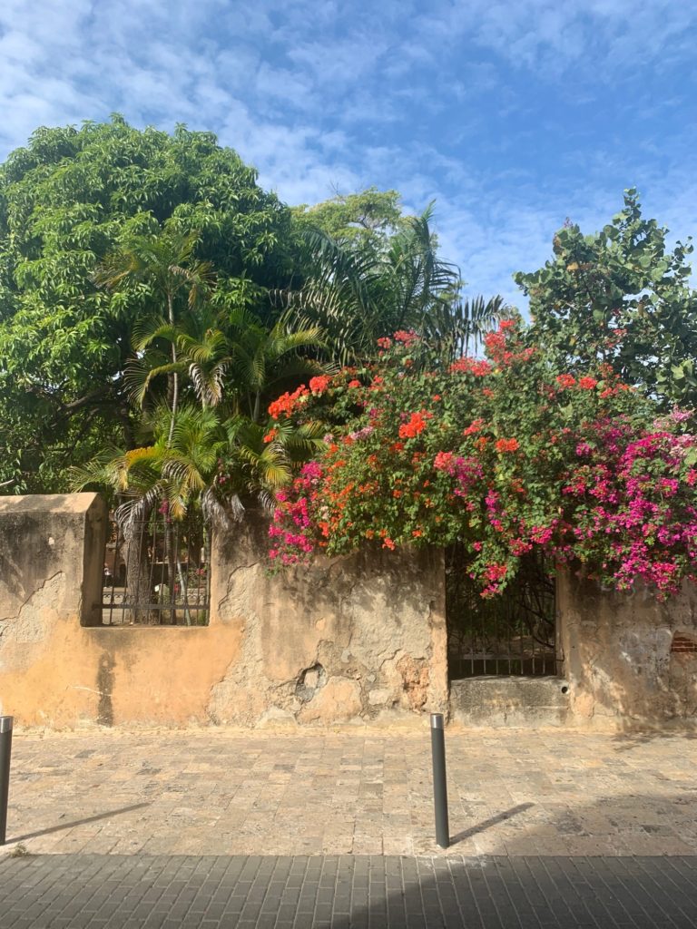 flowers cascading building in zona colonial, santo domingo, dominican republic