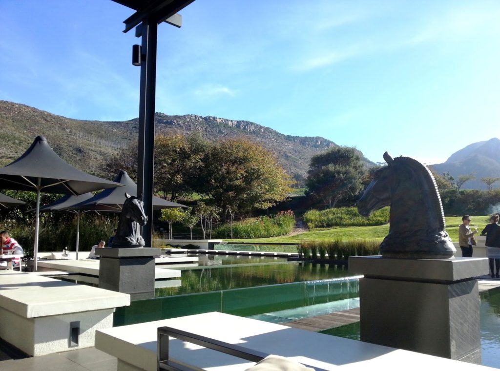 Steenberg Wine Estate South Africa