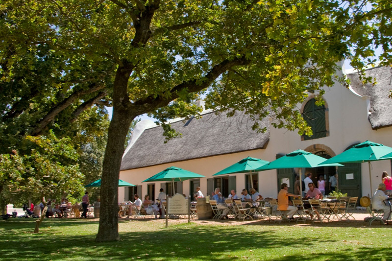 Groot Constantia South African Winery